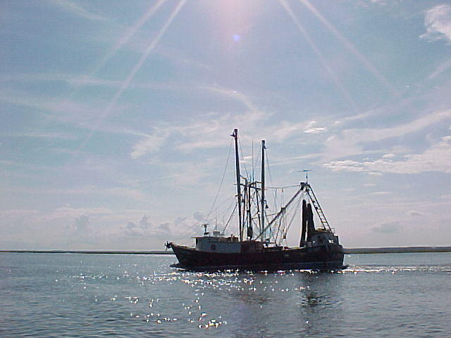 MVC_012F_001.jpg