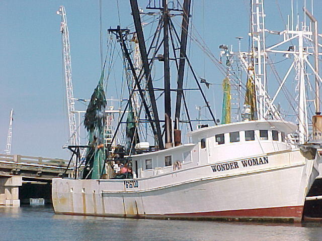 MVC_015F_001.jpg