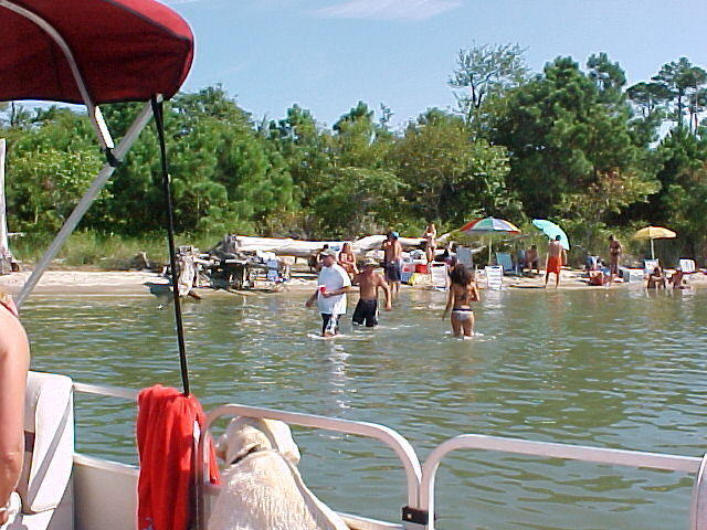 MVC_016F.jpg