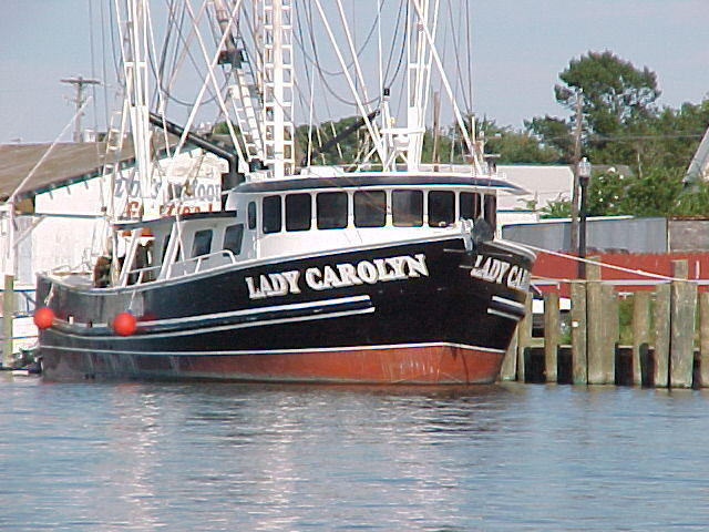 MVC_017F_001.jpg