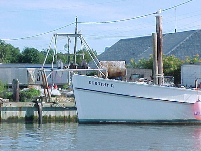 MVC_021F_001.jpg