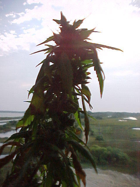 Sept. 26th,2005