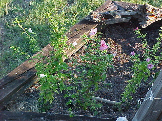 Sptember 1st, the Gardens