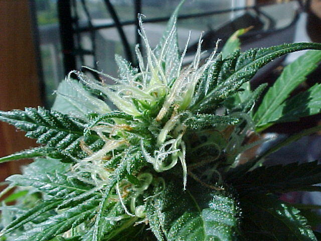 MVC_006F_012.jpg