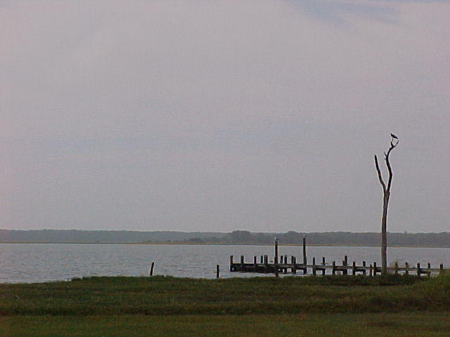 South View