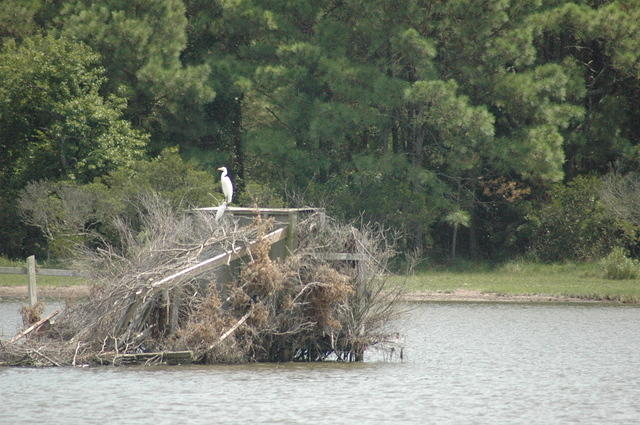 DSC_0038.jpg