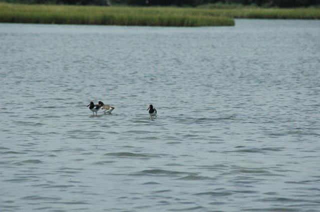 DSC_0044.jpg