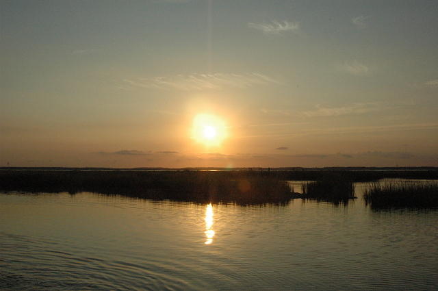DSC_0061.jpg