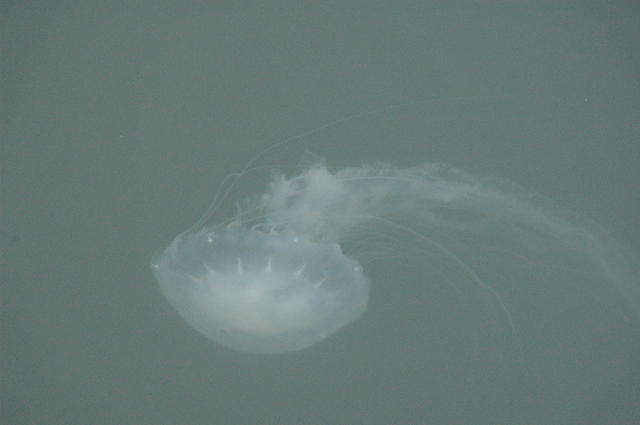 DSC_0073.jpg