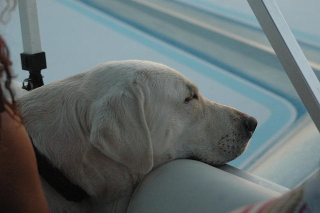DSC_0085.jpg