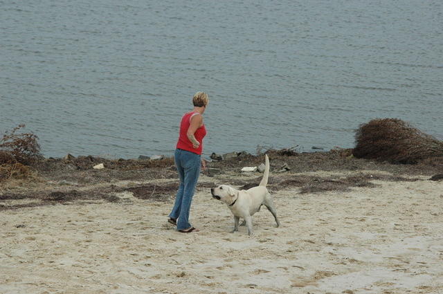 DSC_0096.jpg