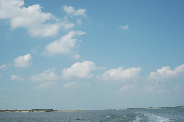 DSC_0121.jpg
