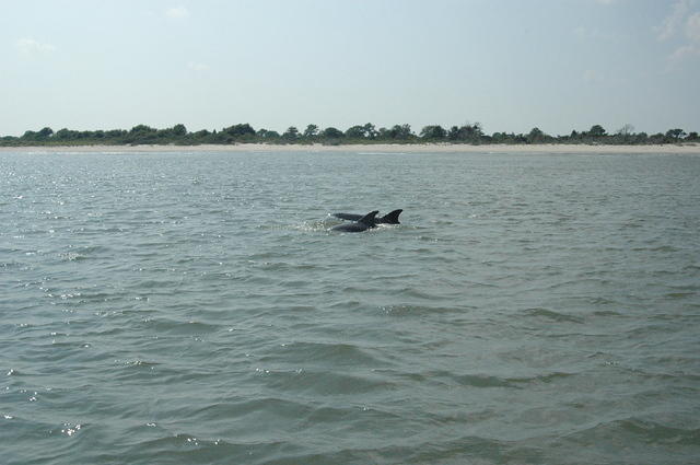 DSC_0123.jpg