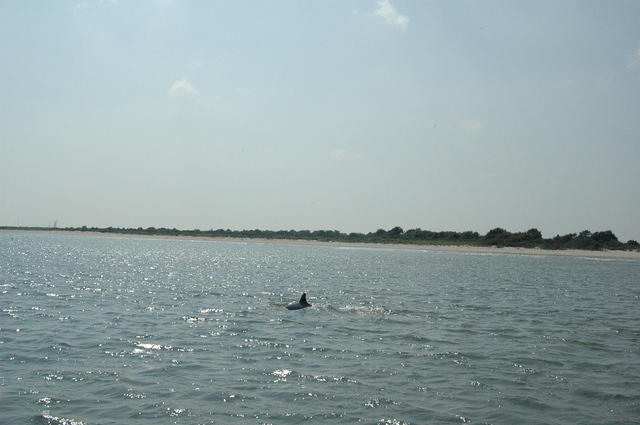 DSC_0125.jpg