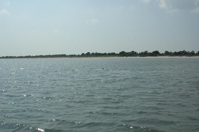DSC_0126.jpg