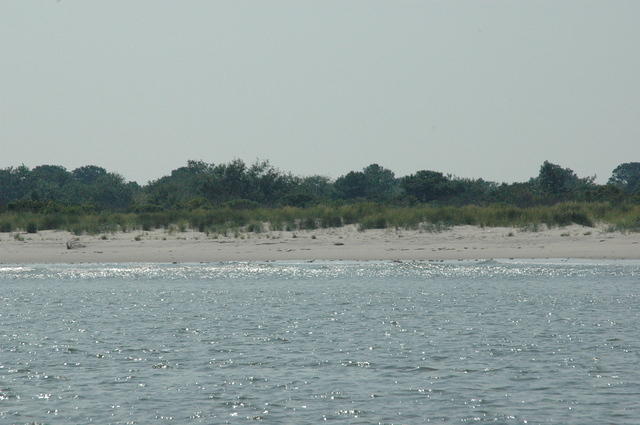 DSC_0128.jpg