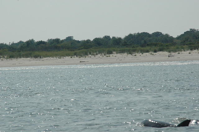 DSC_0129.jpg