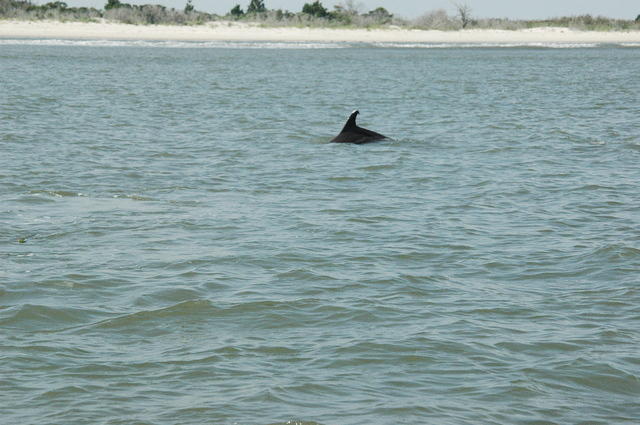 DSC_0130.jpg