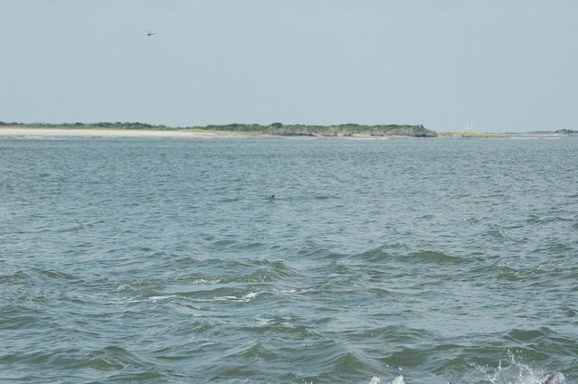 DSC_0132.jpg