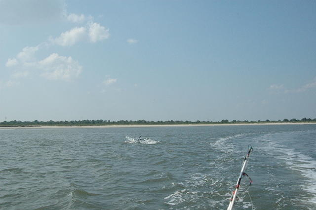 DSC_0134.jpg