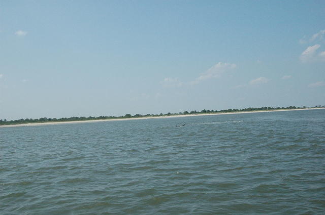 DSC_0135.jpg