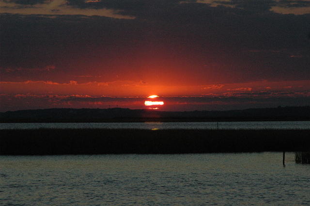 DSC_0156.jpg