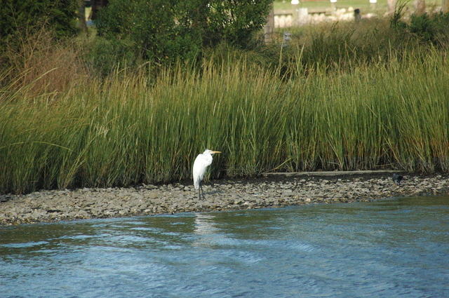 DSC_0172.jpg