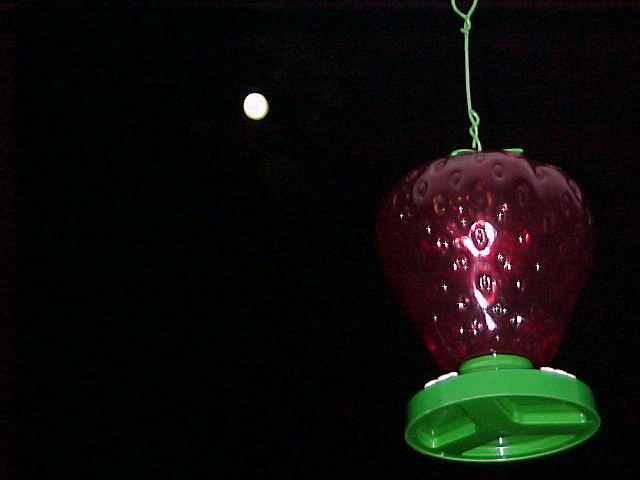 MVC_014F.jpg