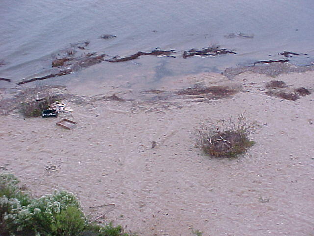 Oct. 12th, 2005  High Tides