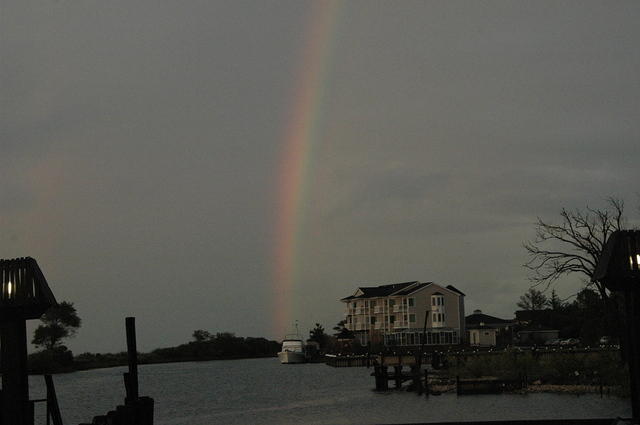 DSC_0676.jpg