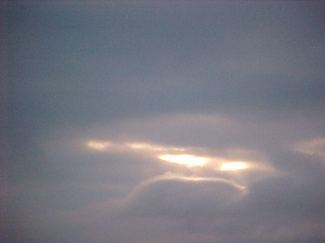 Pony in The Sky