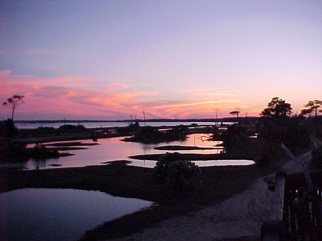 MVC_001F_001.jpg