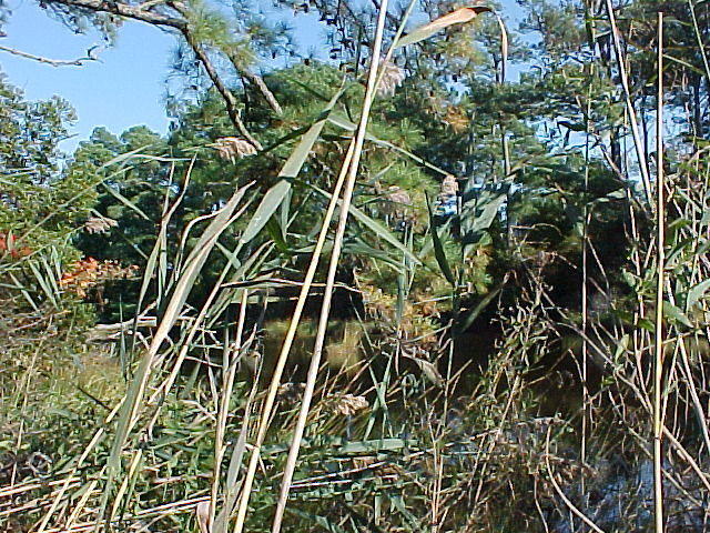 MVC_002F.jpg