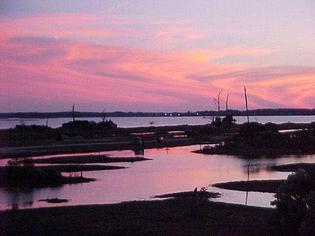 MVC_005F_001.jpg