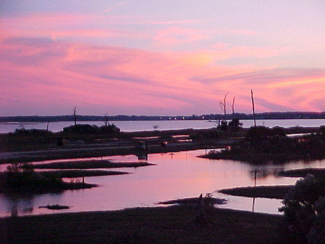 MVC_006F_001.jpg
