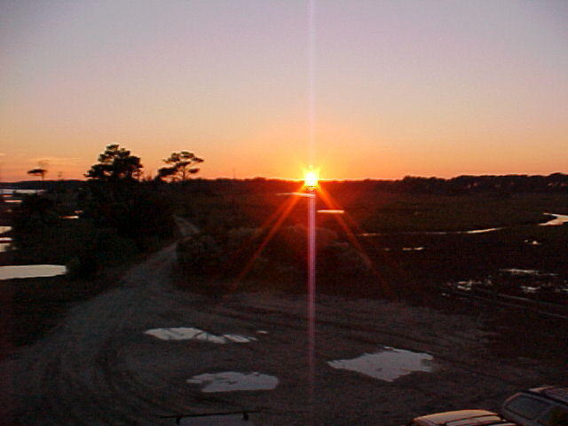 MVC_009F.jpg