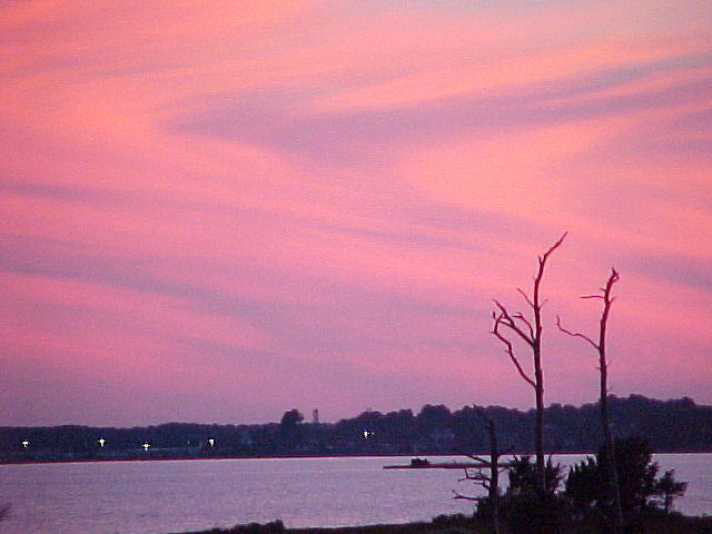 MVC_009F_001.jpg