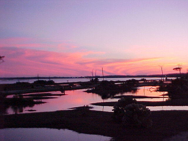 MVC_011F_001.jpg