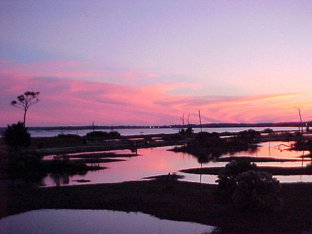 MVC_012F_001.jpg