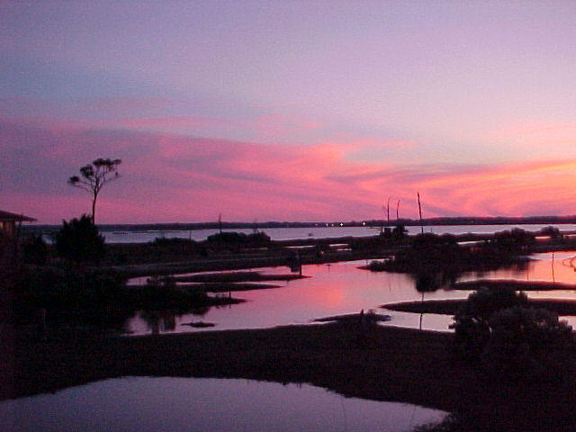 MVC_016F_001.jpg