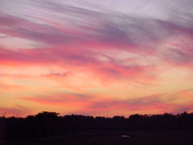 Nov. 19th, 2005 Chincoteague Island