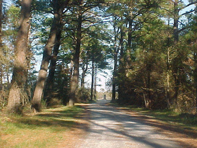 Nov. 19th, 2005 Chincoteague Island