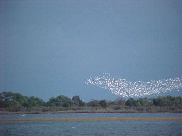 Nov.22nd, 2005