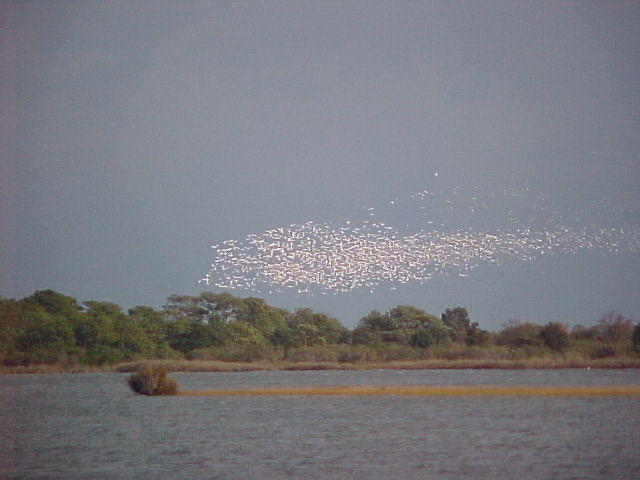 Nov.22nd, 2005