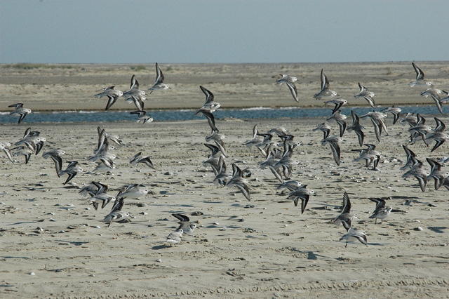 DSC_0672.jpg