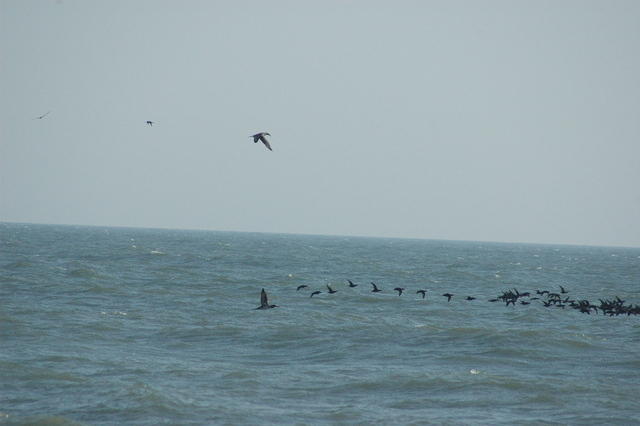 DSC_0702.jpg