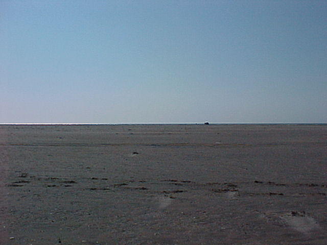 MVC_002F_001.jpg