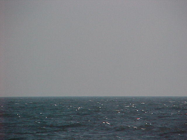 MVC_002F_003.jpg
