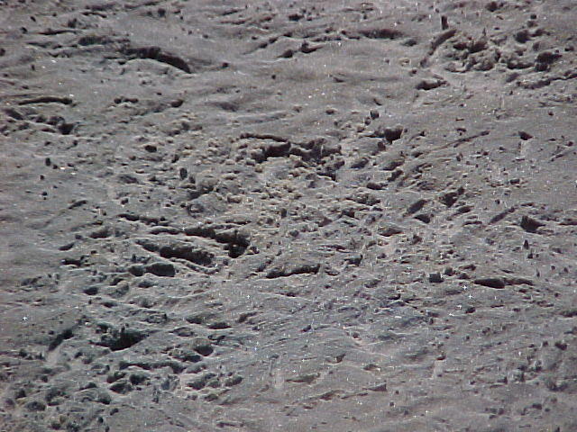 MVC_003F_001.jpg