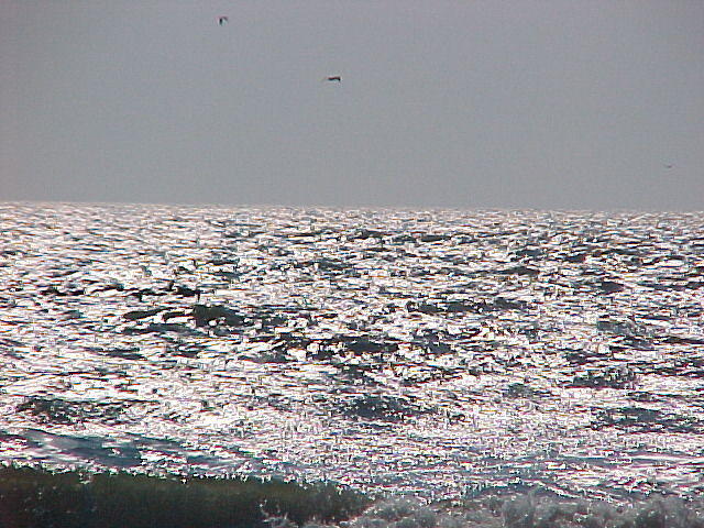 MVC_003F_003.jpg